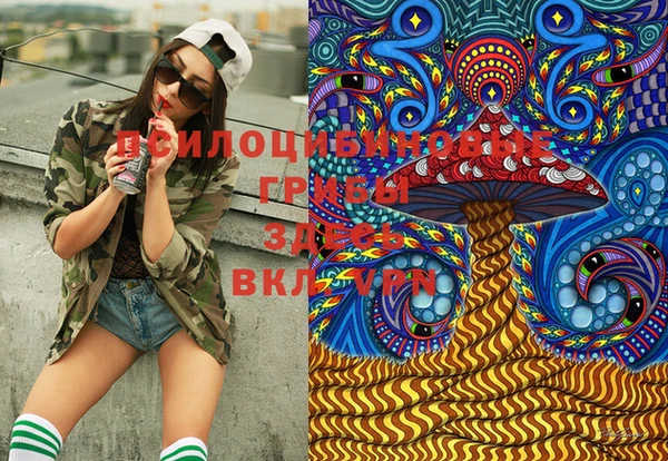 спайс Карпинск