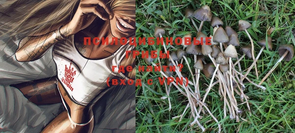 индика Карталы