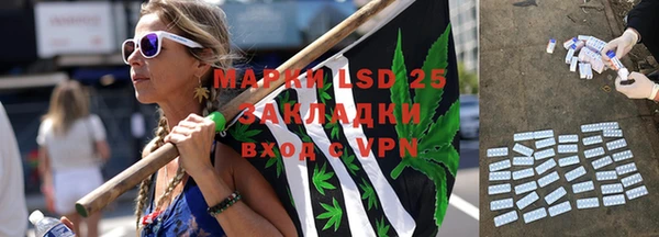 индика Карталы