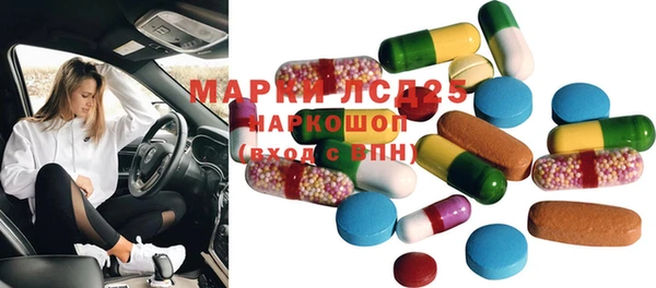 индика Карталы