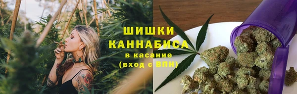 спайс Карпинск