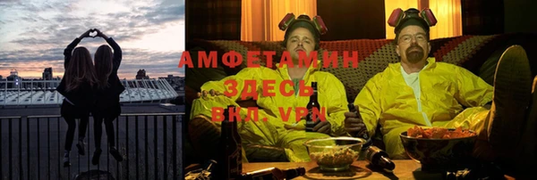 индика Карталы